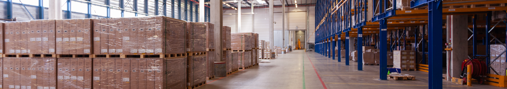 Custom App Development Malta Trinity DEV