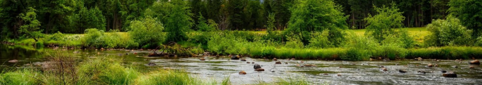 progressive-web-app-development-trinity-dev-malta